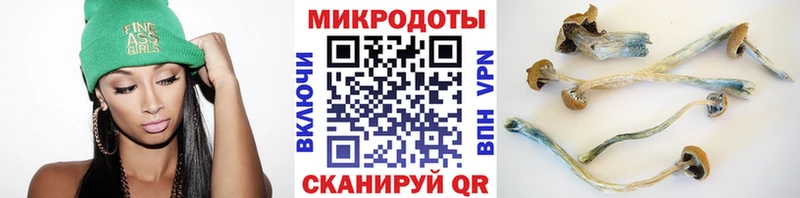 Псилоцибиновые грибы мухоморы  Купить где  Нижняя Тура 